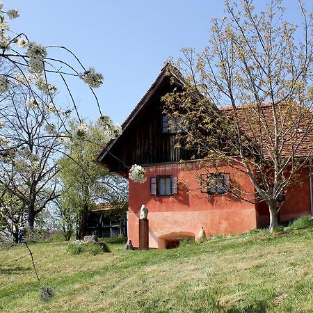 Ferienwohnungen Sonnenberg Ratsch an der Weinstraße Екстериор снимка