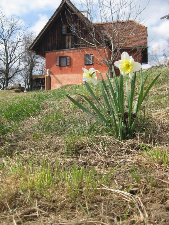 Ferienwohnungen Sonnenberg Ratsch an der Weinstraße Екстериор снимка