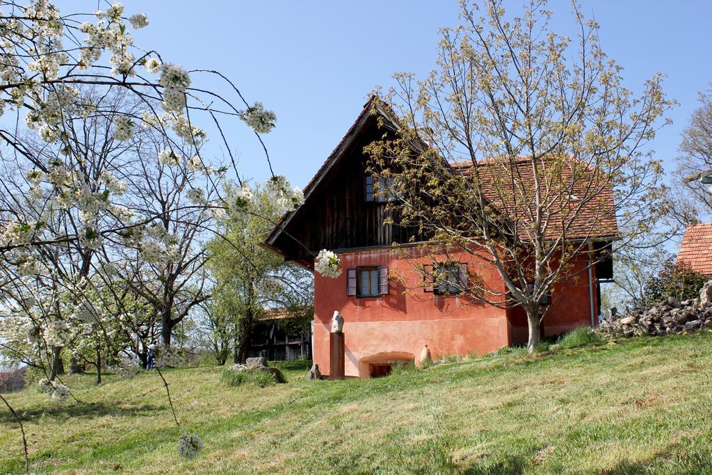 Ferienwohnungen Sonnenberg Ratsch an der Weinstraße Екстериор снимка
